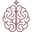 Mental Clarity Support