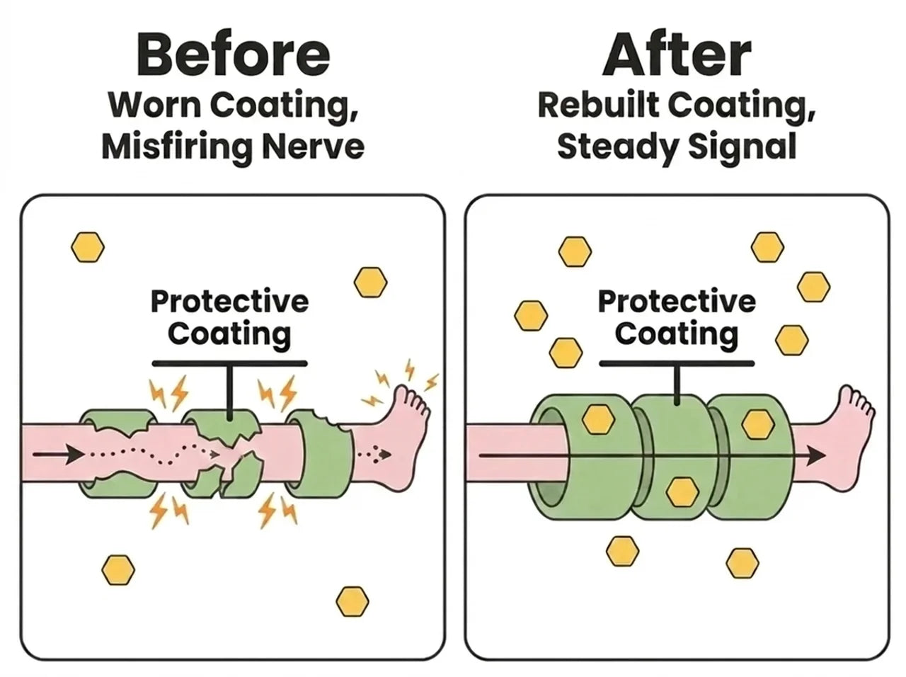 Put Back What Metformin Drains (The Real Reason Your Feet Won't Settle)